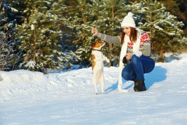 Jack Russell Terrier 'in kışın açık havada sahibi var.