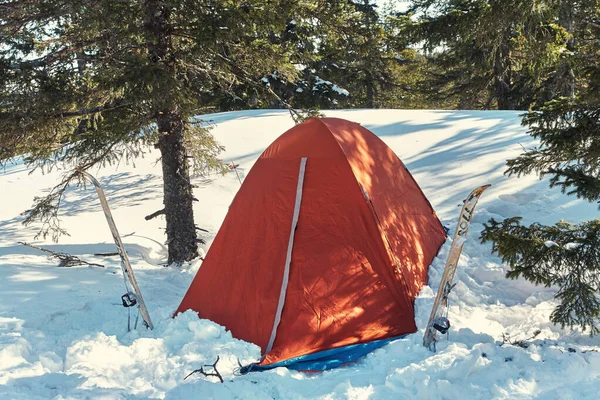 Туристическая палатка в зимнем огненном лесу в лыжном туре . — стоковое фото