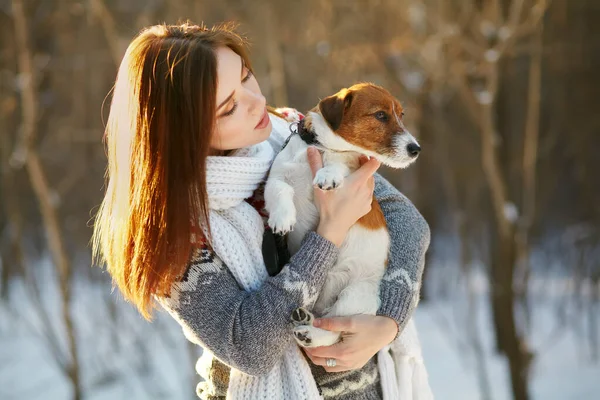 Jack Russell Terrier perro con dueño en el invierno al aire libre — Foto de Stock