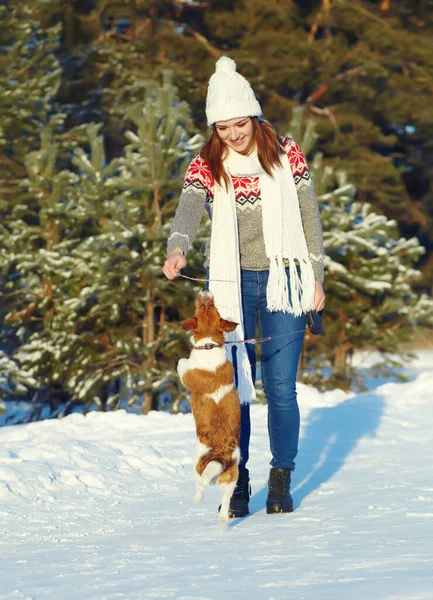Jack Russell Terrier hond met eigenaar in de winter buiten — Stockfoto