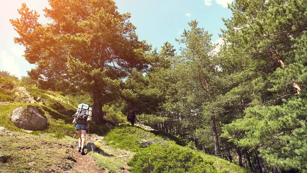 Egy csoport túrázó a hegyekben. hegymászók hátizsákkal az ösvényen. — Stock Fotó