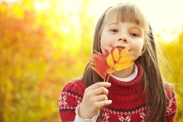 Potret seorang gadis kecil lucu tersenyum di musim gugur. — Stok Foto
