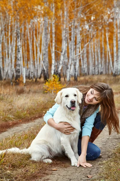 若い黄金の検索彼の所有者と散歩のために。犬は屋外で女性とラブラドールを繁殖. — ストック写真