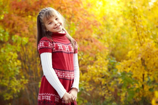 Portret van een schattig lachend meisje in de herfst. — Stockfoto