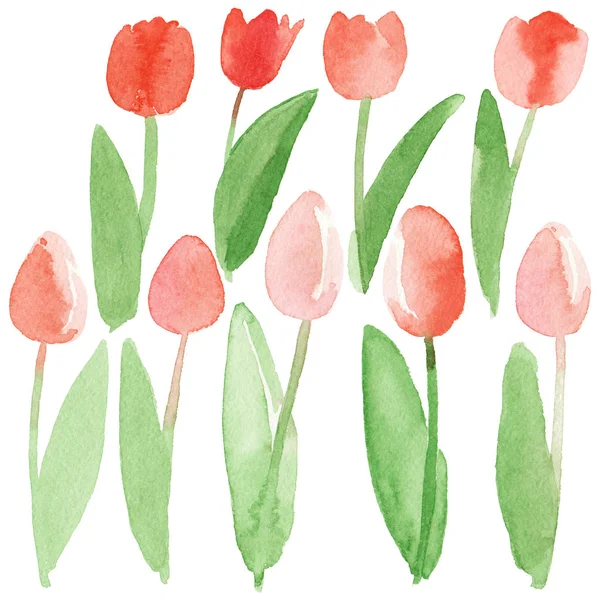 Tulipany Wiosna Białym Tle Abstrakcja Akwarela Ilustracja Wolnej Ręki Pocztówki — Zdjęcie stockowe