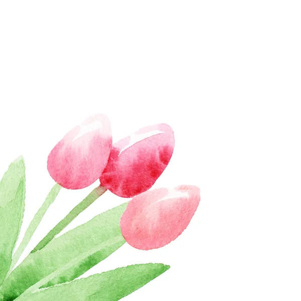 Spring Tulips Isolated Abstract Watercolor Free Hand Illustration Postcard Invitation — Stock Photo, Image
