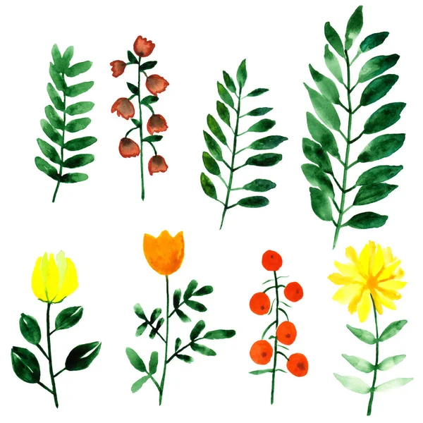 Nyári Fantázia Virág Absztrakt Akvarell Ingyenes Kézzel Rajzolt Ábrán Látható — Stock Fotó