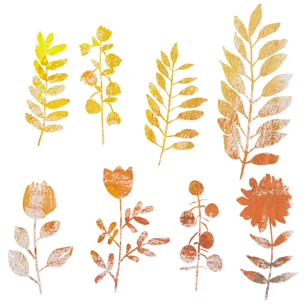 Akvarell készlet őszi virágok — Stock Fotó