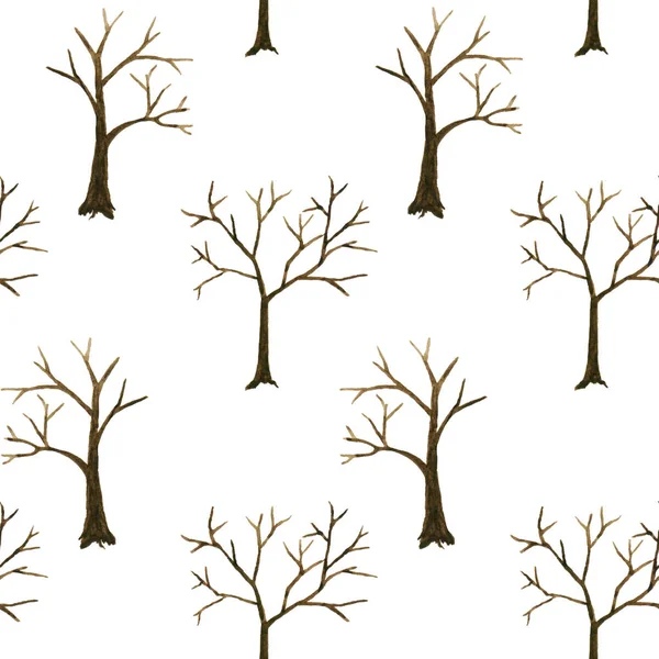 Bare trees silhouettes pattern isolated — Stockfoto