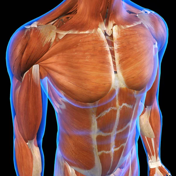 男性胸腹部肌肉黑色背景 — 图库照片