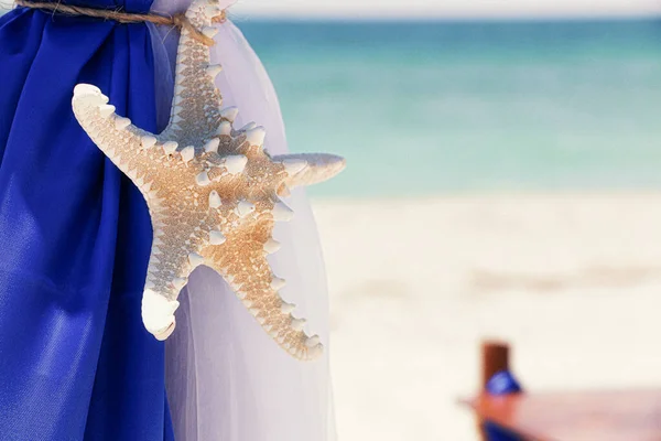 Sahilde düğün kemeri denizyıldızı süslemesi