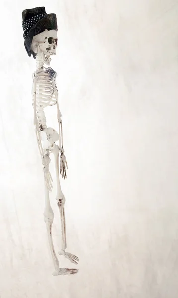 Esqueleto Demitido Com Chapéu Laço Fundo Branco Com Espaço Para — Fotografia de Stock