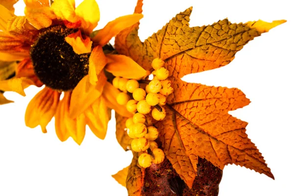Garland Tkaniny Jesiennych Liści Owoców Białym Tle Miejsca Tekst — Zdjęcie stockowe