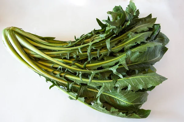 Head Raw Chicory White Background Natural Light — Stock Photo, Image