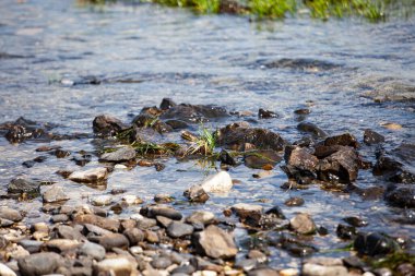 Marina Julia, İtalya sahilinin ayrıntıları.