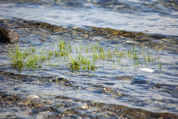 Detail Van Kust Van Het Strand Marina Julia Italië — Stockfoto