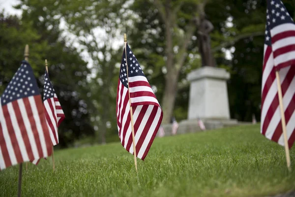 Small American Flags Planted Throughout Lawn Honor Patriotic Holiday Memorial — Stock Photo, Image