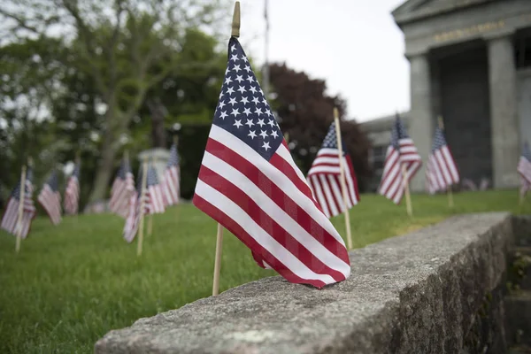 Banderas Americanas Pequeñas Decoran Césped Para Fiesta Patriótica —  Fotos de Stock