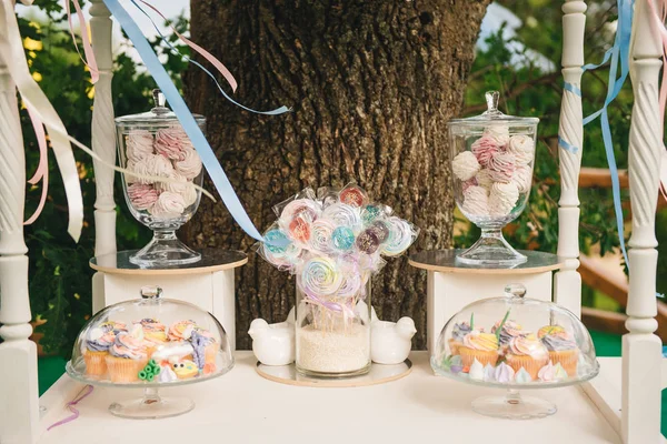 Una Barra Caramelo Para Cumpleaños Fiesta Infantil Colores Pastel Naturaleza — Foto de Stock