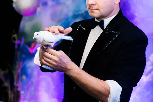 Hand Mage Sack Holds Magical Ritual Appearance Dove Show Magician — Stock Photo, Image