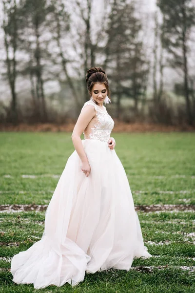 Beautiful Portrait Bride Elegant Full Length Dress Wedding Photo — Stock Photo, Image