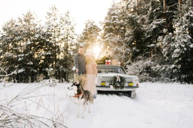 Bir adam ve bir kız Noel için bir retro araba arka plan, çatıda bir Noel ağacı üzerinde bir husky köpek yürüyen hazırlanıyorlar ve karlı kış ormanda sunar. Seçici odak köpek