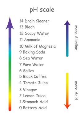 ph scale with product names with different acidity. The scale is arranged in the form of an arrow from the alkaline product to the acid clipart