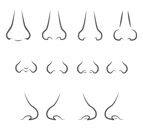 Set von Symbolen mit einem Nasenbild im Profil und vollem Gesicht. lange und kurze und schmale und breite Nasenformen — Stockvektor