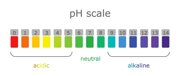PH-skalan med färgmärkning av miljöer och produkter med olika nivåer av surhet — Stock vektor