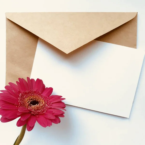 Greeting card concept with envelope and gerbera flower. Blank paper postcard, vintage envelope and gerbera flowers. Blank white card for mock up.