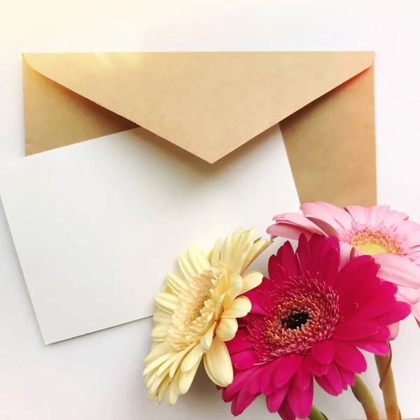 Greeting card concept with envelope and gerbera flower. Blank paper postcard, vintage envelope and gerbera flowers. Blank white card for mock up.