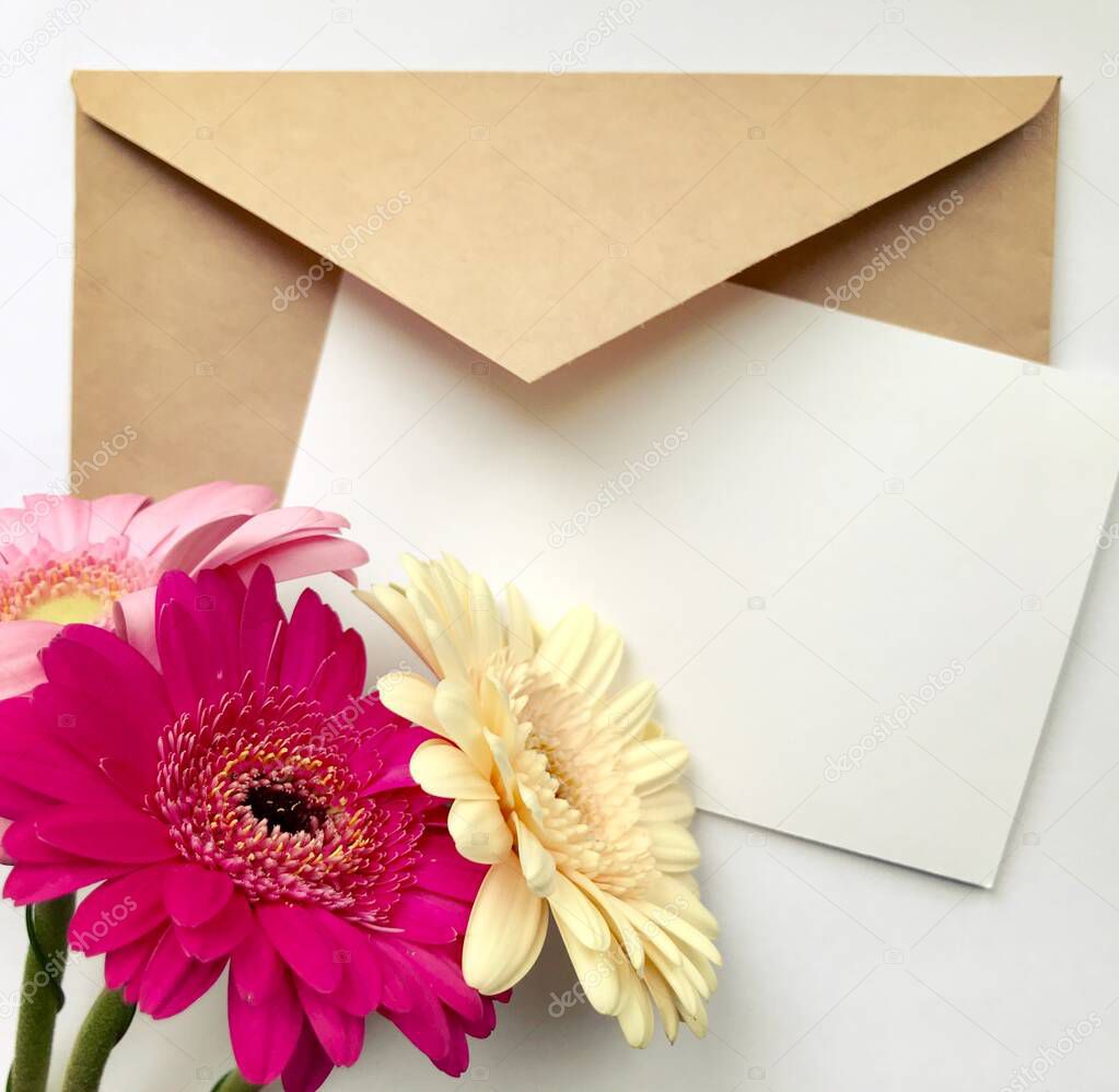 Greeting card concept with envelope and gerbera flower. Blank paper postcard, vintage envelope and gerbera flowers. Blank white card for mock up.