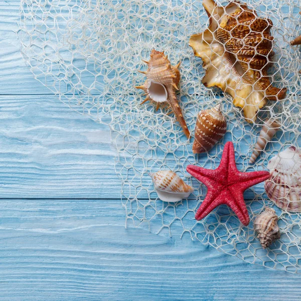 Yıldız balık, deniz kabukları, balık ağı ve metin için yer yaz saati tatil arka plan.