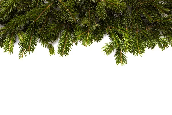 Zimní Svátky Pozadí Větev Stromu Jedle Izolované Bílém Rámu Kopií — Stock fotografie