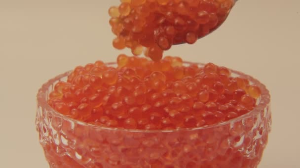 Red caviar close-up 005 / Caviar spoon stir a big shot — Stock Footage Red Caviar Close 005 Caviar Spoon Stir Big Shot Stock Footage