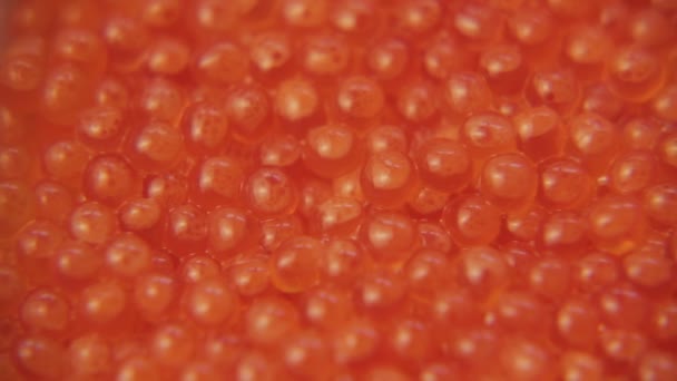 Red caviar close-up 006 / Caviar spoon stir a big shot — Stock Footage Red Caviar Close 006 Caviar Spoon Stir Big Shot Stock Video