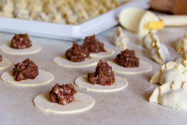 ev yapımı mantı closeup üreticisine