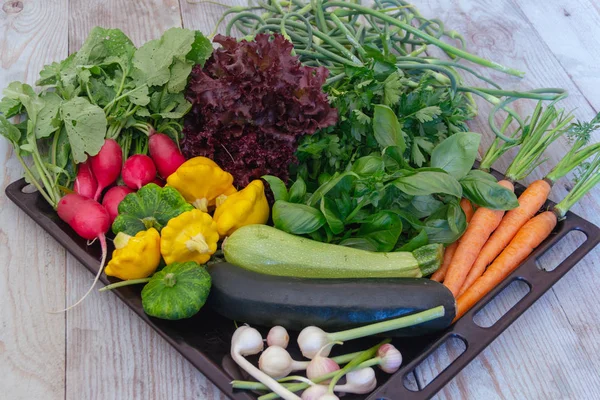 Jogo Verduras Verão Adiantadas Uma Mesa Madeira — Fotografia de Stock