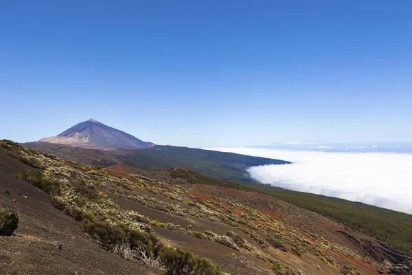 Paisaje Con Colina Montaña Parque Nacional Del Teide Islas Canarias —  Fotos de Stock