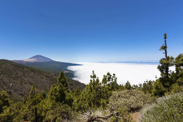 Landschap Teide Nationaal Park Canarische Eilanden Spanje Europa — Stockfoto