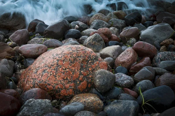 Nahaufnahme Von Steinen Und Felsen Ostseestrand — Stockfoto