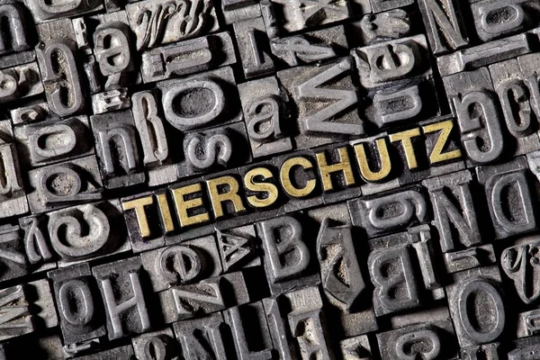 Eiserne Bleibuchstaben Formen Deutsches Wort Tierschutz — Stockfoto