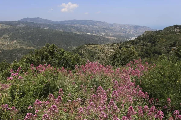 Vue Panoramique Depuis Monte Sant Angelo Foggia Pouilles Italie Europe — Photo