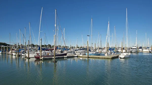 Barche Nel Porto Bayswater Central Business District Auckland Skytower Sul — Foto Stock