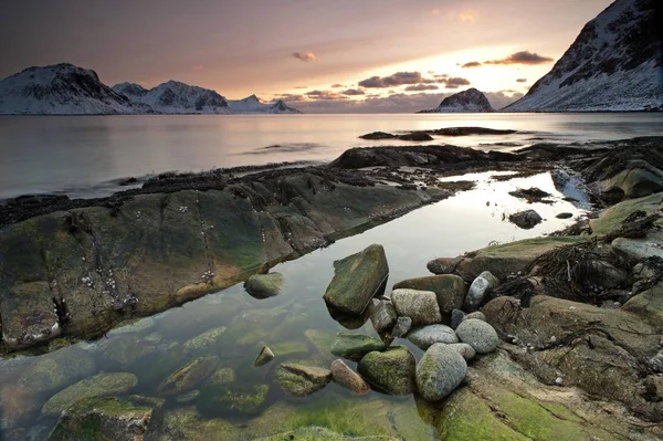 Vikbukta Koyunda Günbatımı Nordland Norway — Stok fotoğraf