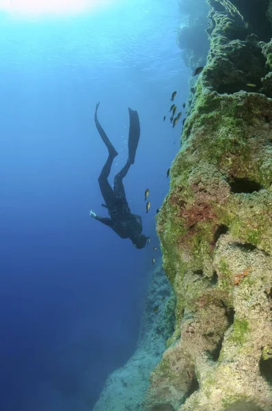 Freediver Эгейское Море Греция Европа — стоковое фото