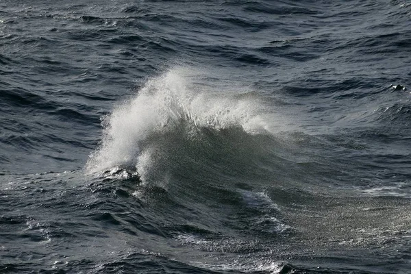 Onda Com Spray Alto Mar Mar Báltico Alemanha Europa — Fotografia de Stock