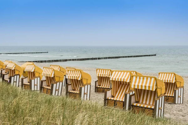 Dak Rieten Strandstoelen Het Strand Zingst Fischland Darb Zingst Mecklenburg — Stockfoto