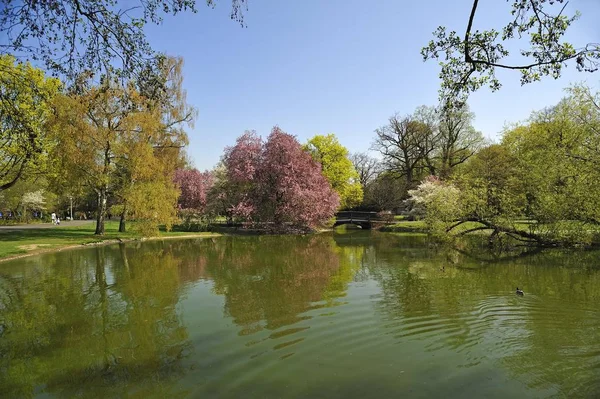 Estanque Árboles Con Flores Parque Municipal Nuremberg Nuremberg Baviera Alemania — Foto de Stock