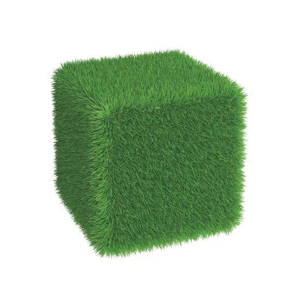 Cube Recouvert Herbe Illustration Concept Environnement Écologie Nature — Photo